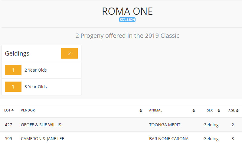 Roma One's 2019 Landmark Sale progeny