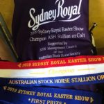 Sydney Royal Show - Champion Stallion award U 2 yo and under Colt class - 1st