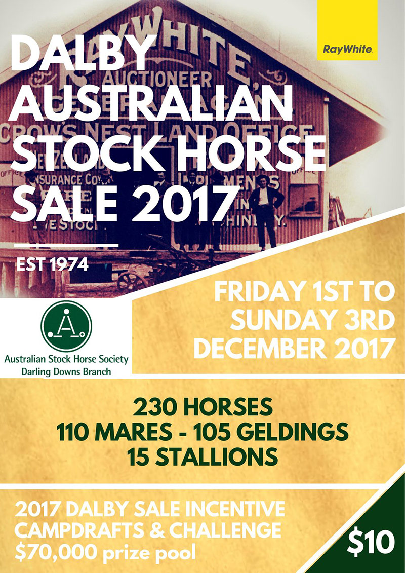 Dalby Australian Stock Horse Sale 2017