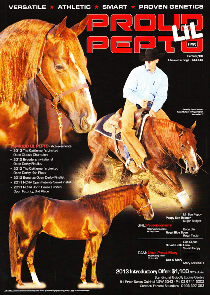 Ad by Australian Performance Horse Magazine, Tracey McClurg. 2013