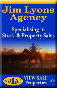 Jim Lyons Agency Sale Properties
