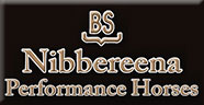 Nibbereena Performance Horses