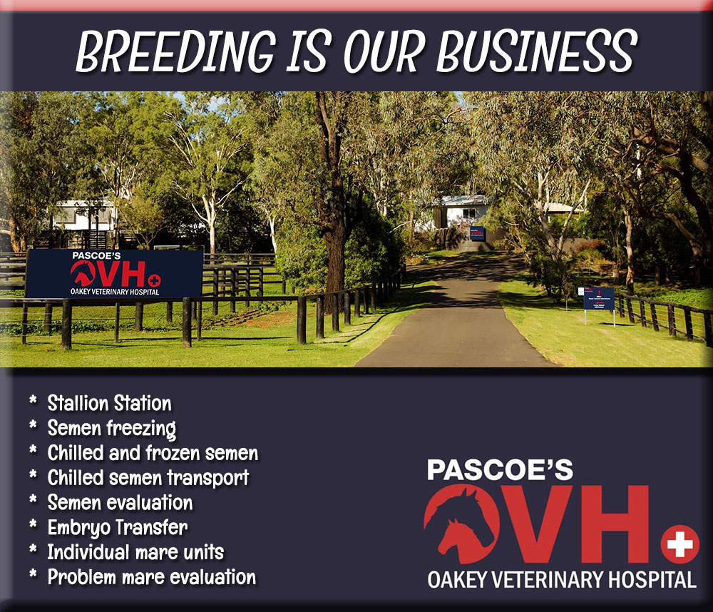 Pascoe's Oakey Veterinary Hospital