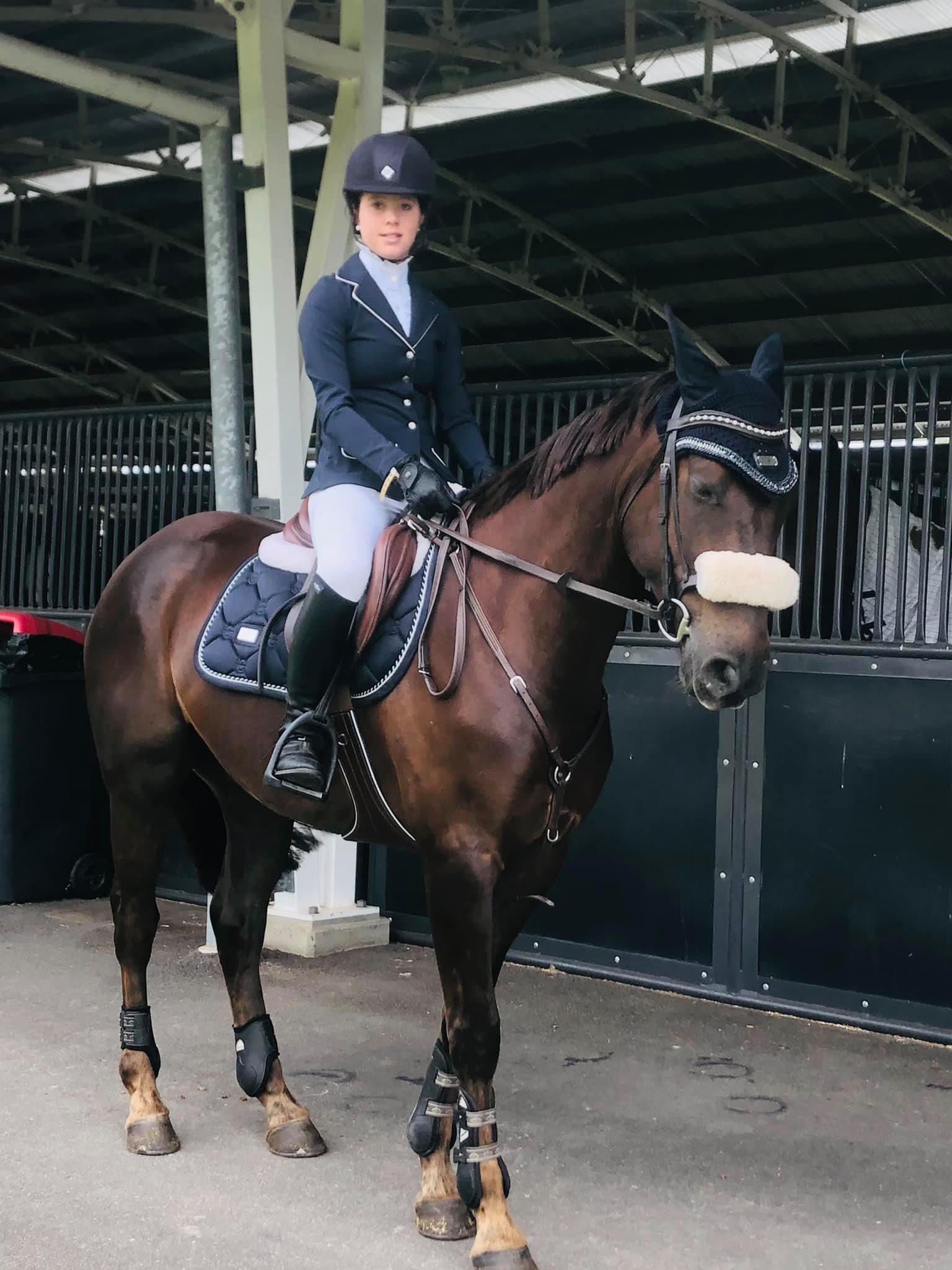 Kneipps Conray sons show the versatility of the Australian Stock Horse ...